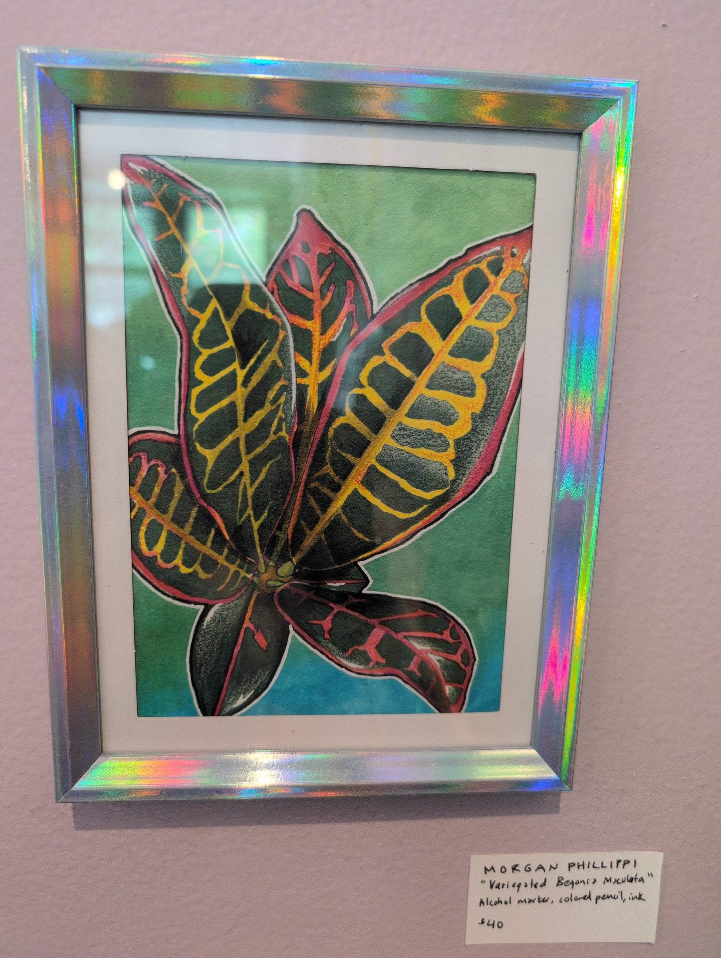 Gallery: Morgan Phillippi - Croton