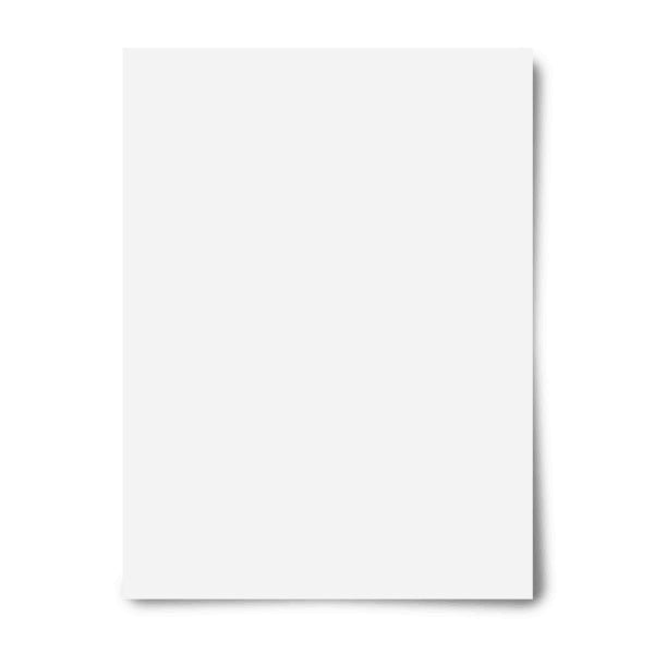 Poster Board White 4 Ply 22x28